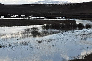 Kars`ta Tarım Arazileri Sular Altında Kaldı