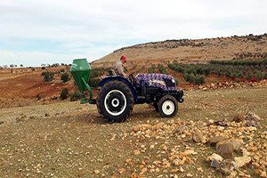 Kilis`te Meralara Gübre Atılıyor