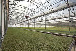 Kırsal Hizmetlerden Tarımsal Destek