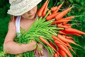 Konya Havuç Üretiminde Birinci Sırada