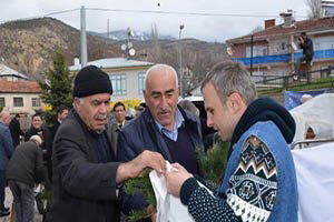 Koyulhisar`da 3 Bin Fidan Dağıtıldı