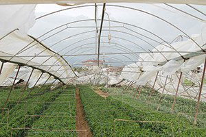 Manavgat`ta Hortum Yıktı Geçti