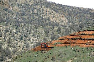 Siirt`te Dağlık Alanlar Fıstık Bahçelerine Dönüştürüldü