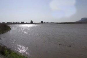 Söke`de Çiftçiler, Çoraklaşmaya Karşı Toprağı Yıkıyor