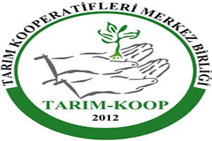 Yeterli Arz Olmasına Rağmen Fırsatçılar Fiyatlarla Oynuyor