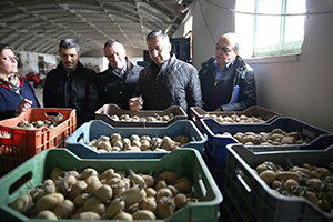 TİKA`dan Arnavutluk`ta Tarım Ve Hayvancılık Alanında Uzman Desteği