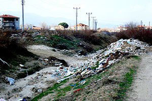 Üzüm Üreticilerini Tedirgin Eden Manzara