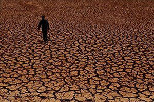 Vietnam`da Kuraklığın Vurduğu Çiftçilere Destek