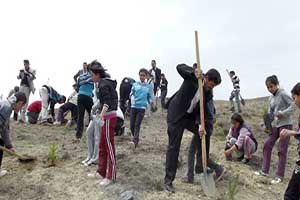 Manisalı Kadınlar, İki Bin Badem Fidanını Toprakla Buluşturdu