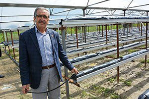 Yuntdağı Çilek Üretiminde Marka Olacak