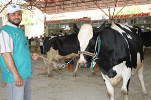 Miss Damızlık 28 Nisan`da