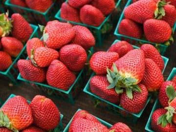 Rusya`yı Bahane Ettiler, Üretici Zora Düştü