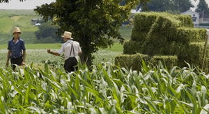 Küresel Piyasalar ABD Tarım Dışı İstihdam Verisine Odaklandı