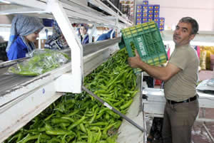 Kumlucalı Üreticiler Birlik Kurmaya Hazırlanıyor