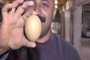 4 Sarılı Yumurtalar Şaşırtıyor