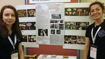 Mantar Ölümlerini Bitirecek Buluş