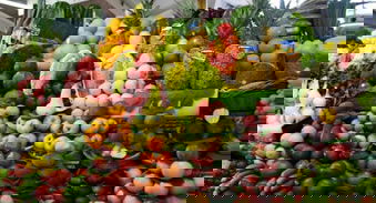 Küçük Meyve Sineği Avustralya`nın Başına Dert Oldu