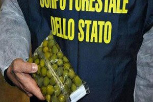 Avrupa`da Gıda Operasyonu