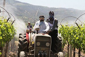 İyi Tarım Uygulamasında En Önemli Olay, Tarımsal İlaçlamadır