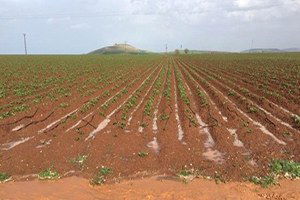 Besnili Çiftçileri Dolu Vurdu