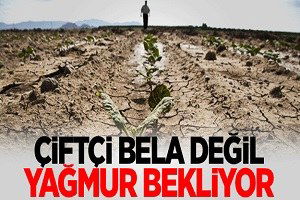 Çiftçi Bela Değil Yağmur Bekliyor