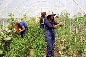 Domaniç`te Genç Çiftçi Hibe Destek Projesi Tanıtıldı