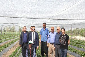 Düziçi`nde Çilek Yetiştiriciliği Kursu