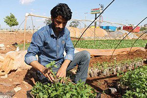 Bir Çok Aile Geçimini Fidecilikle Sağlıyor!