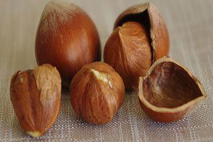 Giresun Fındığına TPE Koruması