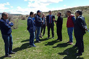 Gümüşhane Meraları Islah Ediliyor