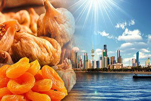 Kuru İncir Ve Kayısımıza Kuveyt`ten Talep Var