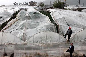 Kumluca`da Hortum Seraları Vurdu