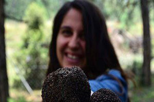 Trüf Mantarı Ormanı