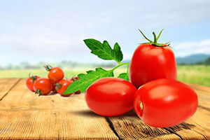 Mersin`den Irak`a Domates İhracatı Başladı