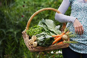Muğla`da Organik Tarım Alanları Genişletilecek