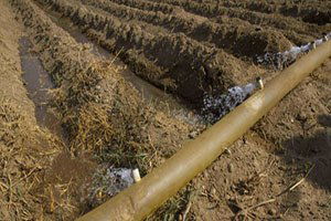 Ödemiş Ovası`nda 196 Bin 500 Dekar Arazi Suya Kavuşacak