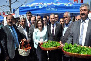 Oğuzeli`nde Çiftçilere 400 Bin Domates ve Biber Fidesi Dağıtıldı