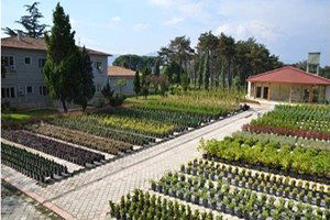 Orköy Kapsamında 303 Aileye 1.21 Milyon TL Kredi Desteği