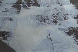 KKTC`li Hayvan Üreticilerinden Sütlü Eylem