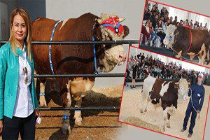 Tarım Ve Hayvancılığın Kalbi Burdur`da Atacak