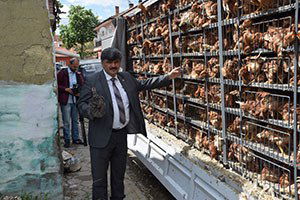 Tepebaşı Ziraat Odasından Tavuk Şenliği