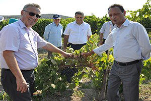 Valilikten  Kuru Üzümde Kalıntı Madde Açıklaması