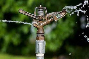 Zirai Don Olayına Fıskiyeli Çözüm