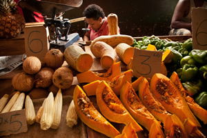 Küba`da Tarım Ürünlerine Tavan Fiyat Uygulaması