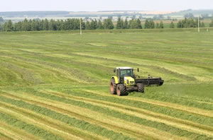 Rusya Doğuyu Teşvik İçin Bedava Toprak Dağıtıyor