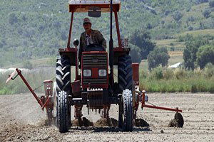 Antalya`da 42 Bin Dekar Alana Pamuk Ekildi