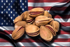 ABD`ye Antep Fıstığı Türkiye`den