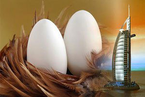 Suudi Arabistan Süt Ve Yumurta İthal Edecek