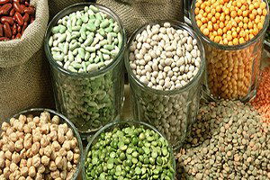 Türkiye`de 2016 Yılında Bakliyatta Hem Üretim Hem De İhracat Artacak