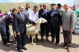 Çankırı`lı Çiftçilere Koç`lu Destek